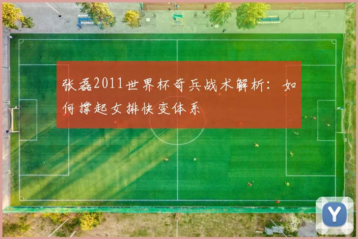 张磊2011世界杯奇兵战术解析：如何撑起女排快变体系