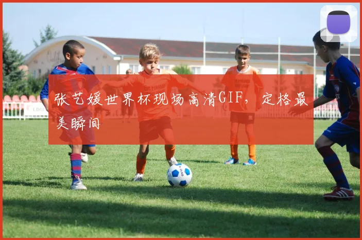 张艺媛世界杯现场高清GIF，定格最美瞬间