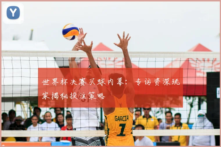 世界杯决赛买球内幕：专访资深玩家揭秘投注策略