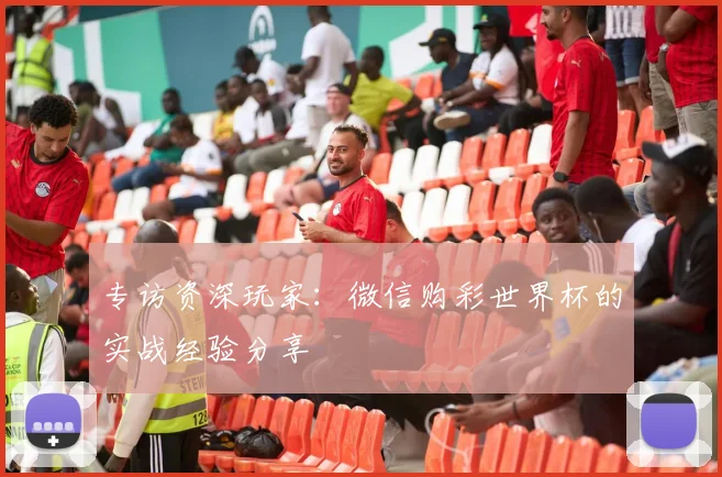 专访资深玩家:微信购彩世界杯的实战经验分享