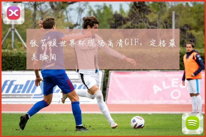 张艺媛世界杯现场高清GIF，定格最美瞬间