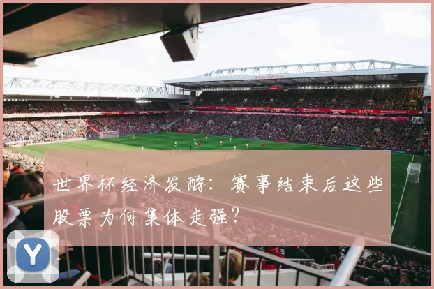 世界杯经济发酵：赛事结束后这些股票为何集体走强？