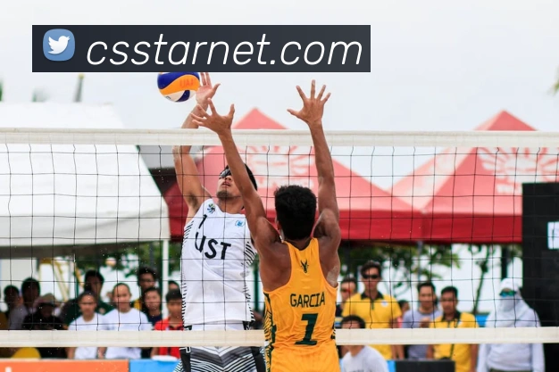 爱游戏手机版官网平台生态图