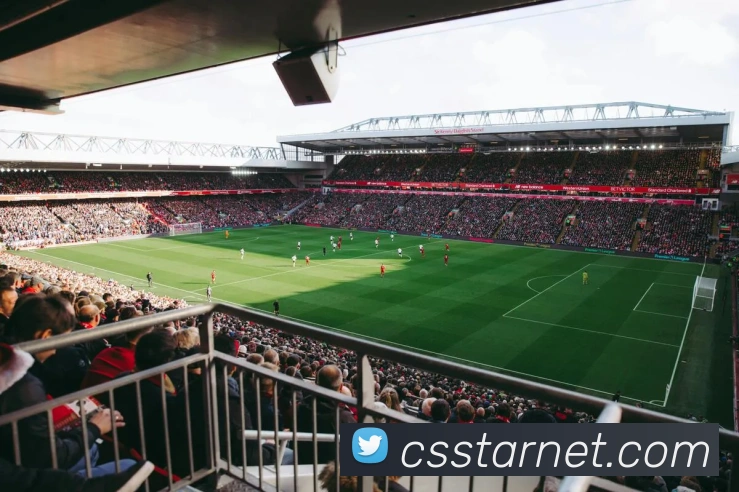 爱游戏手机版官网APP 封面图